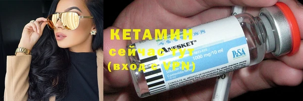 спиды Богородицк