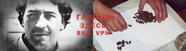 спиды Богородицк