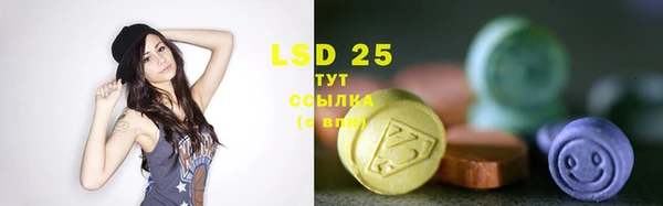 спиды Богородицк