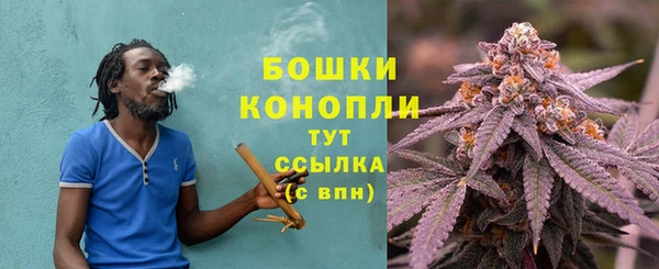 спиды Богородицк