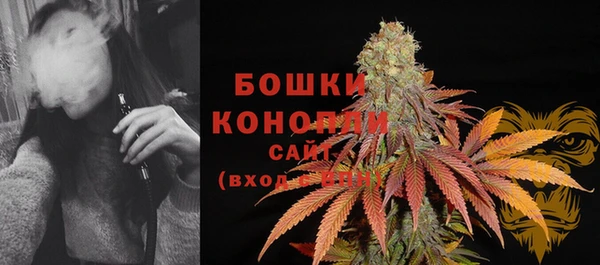 спиды Богородицк