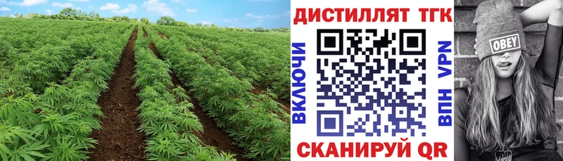 Дистиллят ТГК вейп с тгк где можно купить Шали
