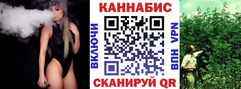 Бошки Шишки план Шали